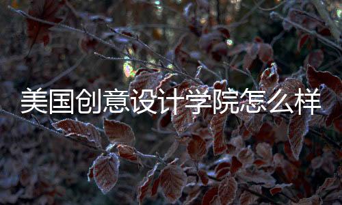 美国创意设计学院怎么样?