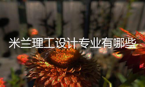 米兰理工设计专业有哪些？