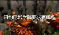 纽约电影学院要求有哪些？