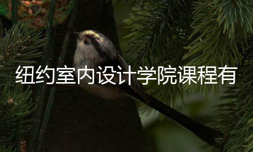 纽约室内设计学院课程有哪些?