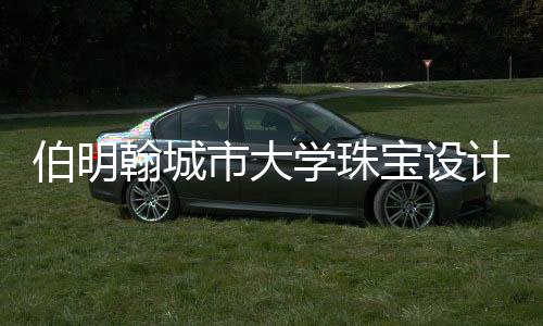 伯明翰城市大学珠宝设计排名第几?