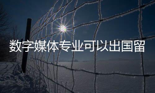 数字媒体专业可以出国留学吗?