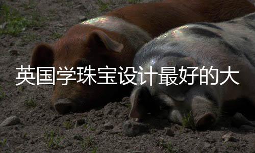 英国学珠宝设计最好的大学有哪些？