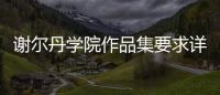 谢尔丹学院作品集要求详解