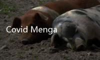 Covid Mengamuk Lagi, Ini 3 Manfaat Vaksin Booster Covid