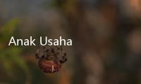 Anak Usaha Bank Panin (CFIN) Bakal Bagi Dividen Rp50 per Saham, Catat Waktunya!