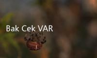 Bak Cek VAR, MK Batalkan Kemenangan Istri Menteri Yandri di Pilbup Serang: Ada Cawe