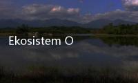 Ekosistem Ojol Rumit, Menhub Serukan Aturan yang Hati
