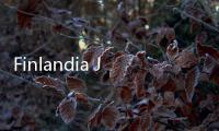 Finlandia Jadi Negara Paling Bahagia di Dunia 7 Tahun Berturut