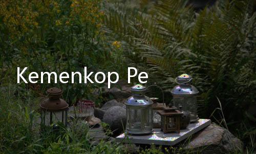 Kemenkop Perkuat Peran Koperasi Desa untuk Dorong Ekonomi Lokal