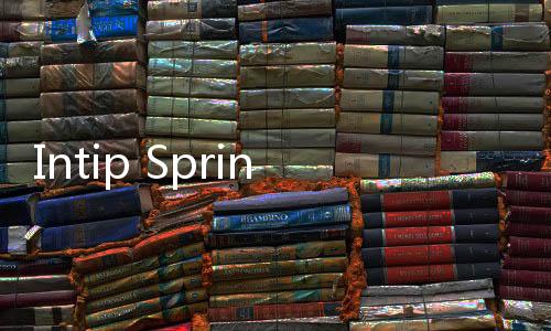 Intip Springhill Yume Lagoon, Hunian Strategis dan Asri di Serpong