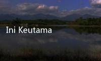 Ini Keutamaan Membaca Al