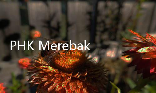 PHK Merebak, AXA Mandiri Malah Bidik Pasar Mikro
