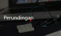 Perundingan IEU